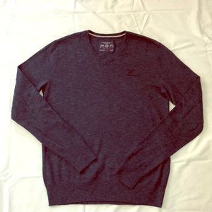 Mens American Eagle Athletic Fit Sweater